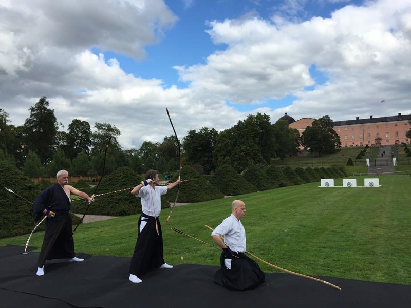 Kyugraderingar Kyugraderingar har under det gångna året hållits i Skellefteå samt i Stockholm. Nio personer graderade under året till dangrader. Fem till Shodan, en Nidan samt tre till Sandan.