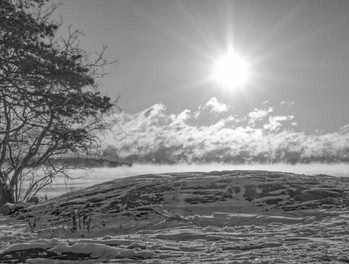 sikten under bron delvis är skymd.