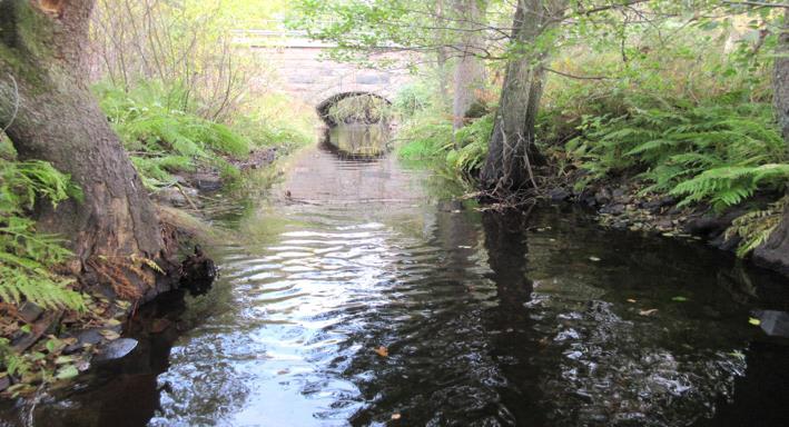 Rönne å vattenkontroll 215 - Resultat bottenfauna Vattensystem: Vattendrag/namn: Provpunktsbeteckning: RÖNNE Å Klingstorpabäcken, Färingtofta RO59 Provdatum: Lokaltyp: Bäck 215--15 Naturligt/grävt: