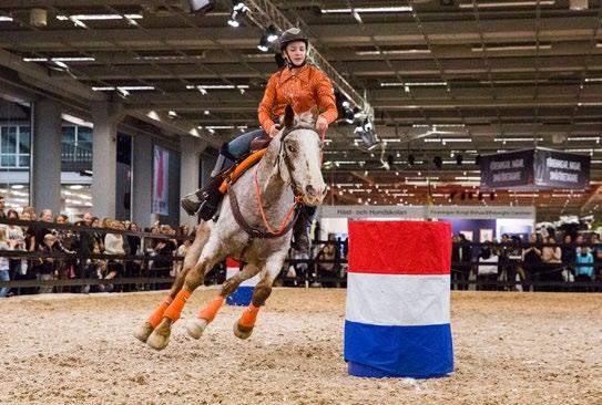 Responsen har varit helt otrolig, vi har haft ett jättetryck i montern alla dagar. EuroHorse betyder mycket för oss. Det är här vi träffar våra kunder, då vi inte har någon butik här i Sverige.