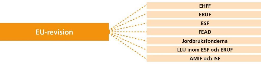 VERKSAMHETSOMRÅDE EU-REVISION 6 Verksamhetsområde EU-revision 6.