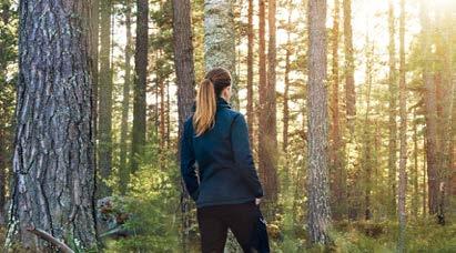 Dalarna är, från midsommarfirande till industrihistoria, från modern konst och design till samisk