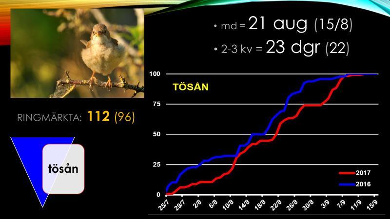 Törnsångarens höstflyttning en typisk augustiart En av höstens två nattskärror 1-15 september Perioden inleddes