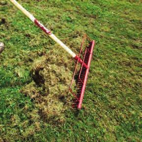 6 Gräsmatte skötsel utan kemikalier Förbud att använda kemiska ogräsmedel i gräsmattor sätter ny standard