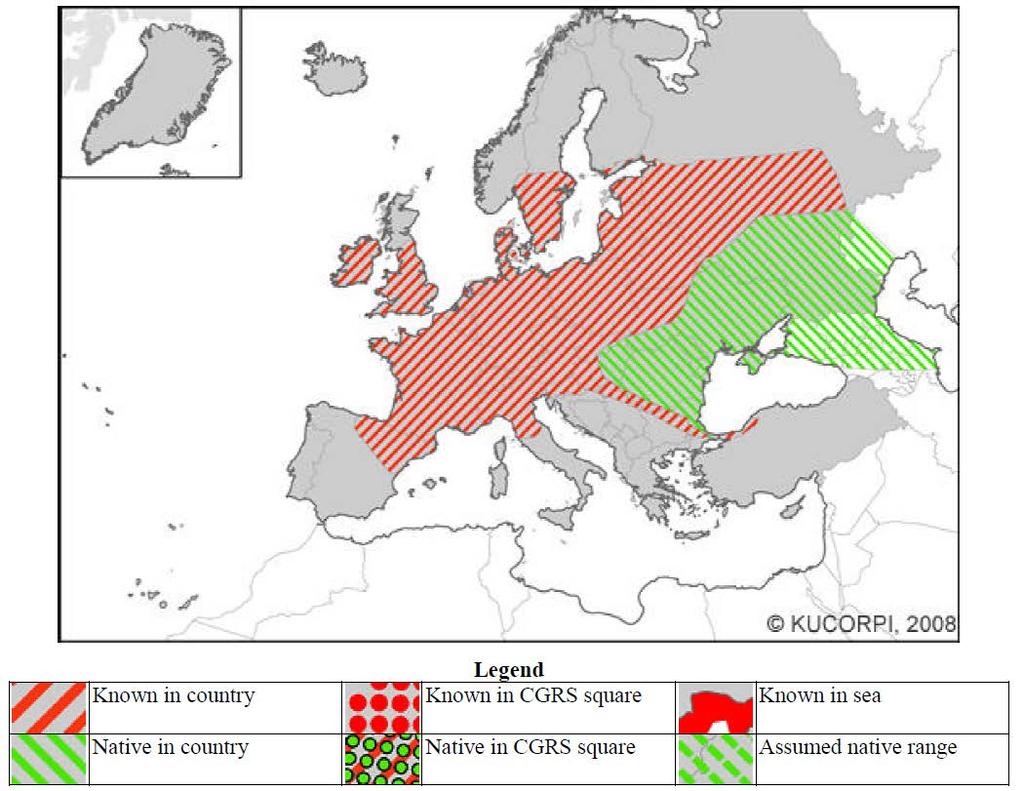 Accelererande expansion i Europa I Europa har arten