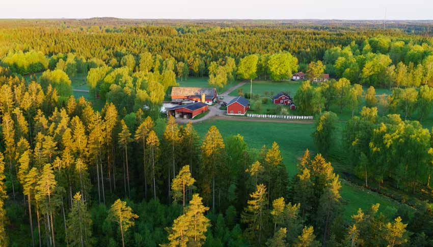 Hållbarhetsredovisning Ett hållbart Södra Södras verksamhet utgår från den förnybara, återvinningsbara och biologiskt nedbrytbara skogsråvaran.