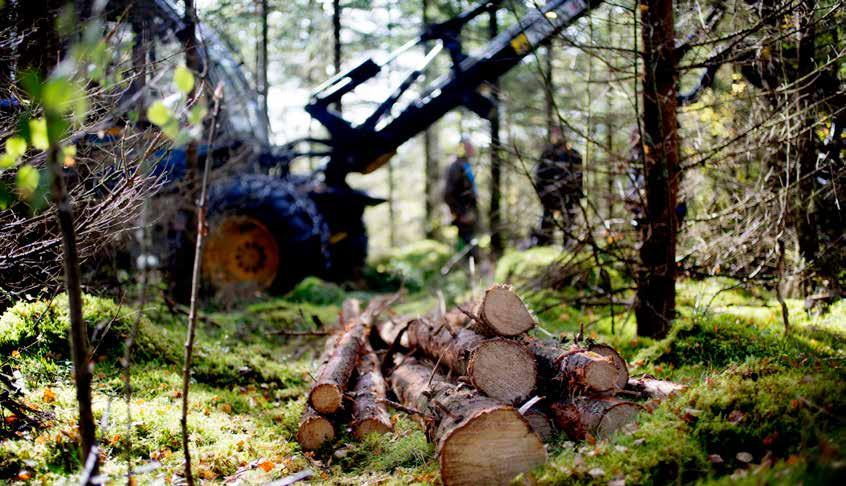 Hållbarhetsredovisning Styrning och organisation för hållbarhet Södras vision och värdegrund är basen för all verksamhet inom koncernen.