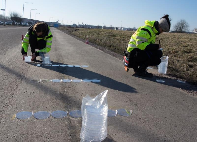 Arean under kurvorna ger den totala saltmängden.