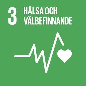 VÅRA TRE STRATEGISKA FÖRFLYTTNINGAR Vägledande hållbarhetsmål Genom att öka kännedomen om alkoholens risker hoppas vi kunna bidra till FN:s globala mål 3 som bland annat täcker in begränsandet av