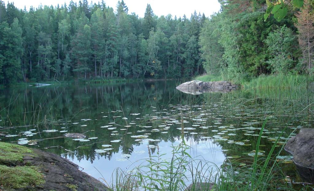 Långsjön. Foto Iréne Lundberg. och även här har utvecklingen varit positiv. Sjön har dock långt till sitt naturliga tillstånd.