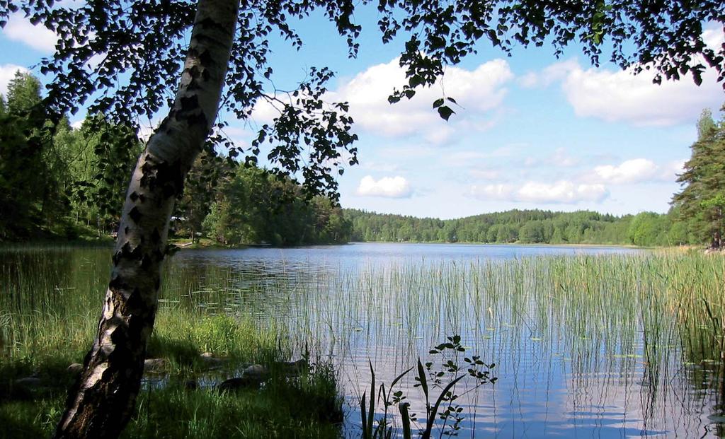 Sjön Ådran omges av bebyggelse med enskilda avlopp. Foto Uwe Stephan.