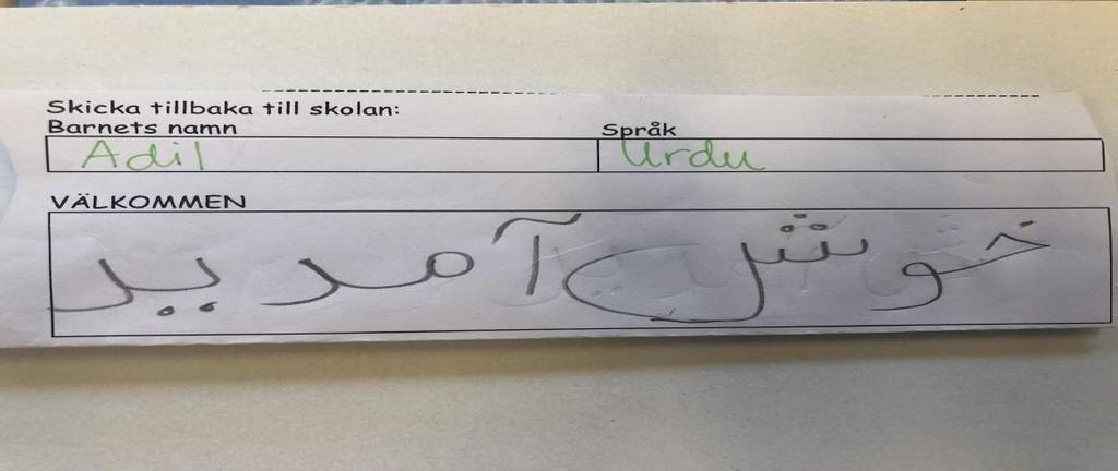 Translanguaging i praktiken år 2-3 Förhållningssätt, värderingar och