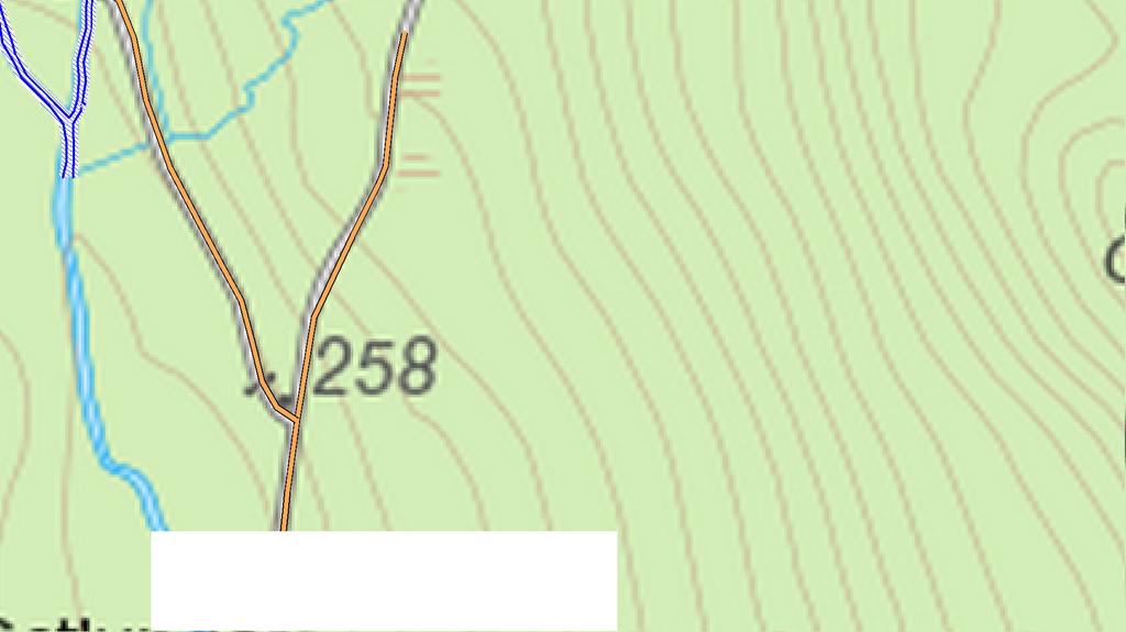 Kalmark/föryngring Röjningsskog