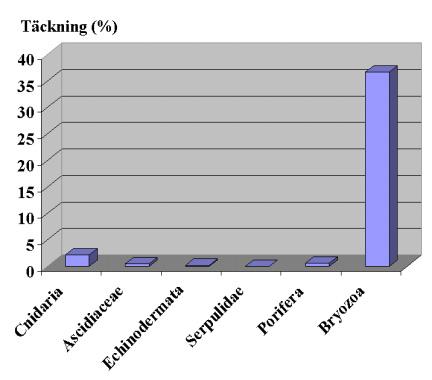 RESULTAT - FIOLKLIPPAN FIOLKLIPPAN