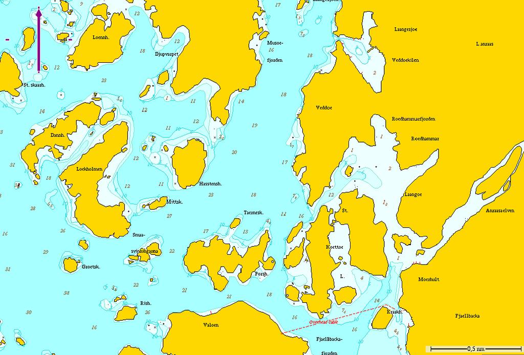 RESULTAT - HASSTENSHOLMEN 5.3 HASSTENSHOLMEN Musön Musöfjorden Fjällbacka Flora och fauna med täckningsgrader redovisas i Bilaga 3.