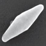 3.3.2 Nanorice Norm. PEEM signal/arb. unit 1 0 5 10 15 Delay/fs 100 nm 20 Figure 3.13: Measured near-field autocorrelation traces of the two ends of a 380 nm long nanorice particle.