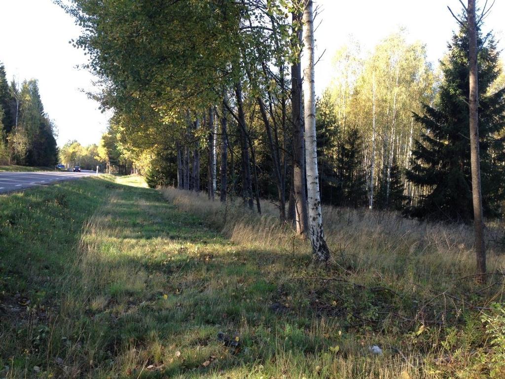 Objekt id Biotop Beskrivning Koordinater (Sweref 99 13 30) D Ensidig allé Cirka 14 aspar i rad på vägens västra sida, cirka 8 meter från asfaltkant.