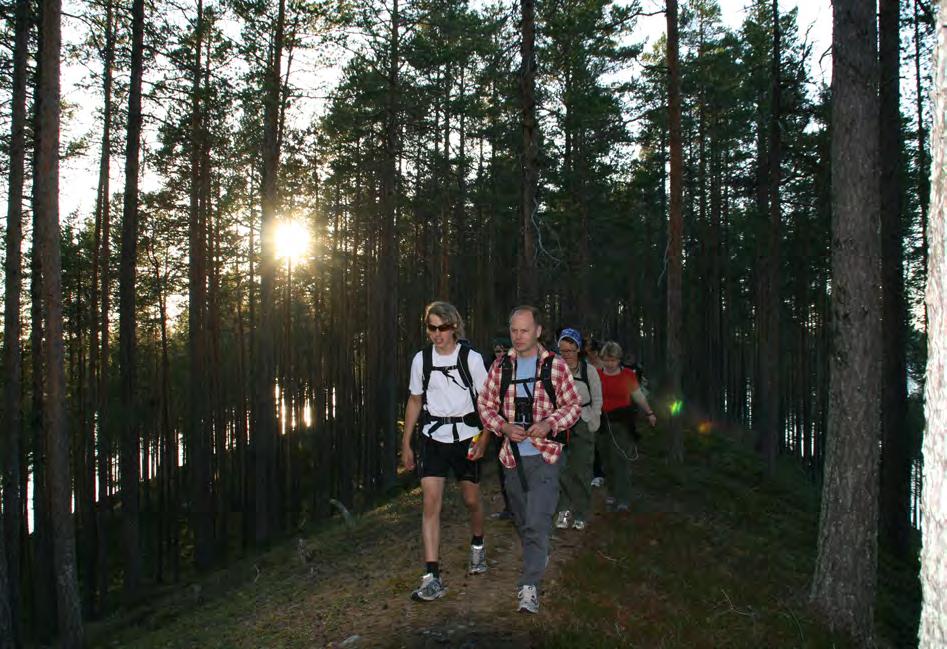 7. Upplevelsevärden Friluftsupplevelser Det finns många sevärdheter i Ekopark Skatan. I tallens och åsvandrarens ekopark vandrar man längs vackra lavbeklädda tallhedar på mäktiga rullstensåsar.