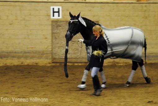 Brusnummer Och vi bjöd på en riktig cirkus!