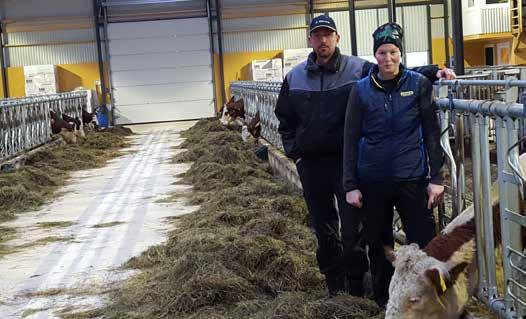 Framför liggbåsraden som är vänd inåt stallet, mot foderbordets håll är kalvgömman bred och något nersänkt, (2 dm), för att göra det möjligt att göra en halmbädd som kalvarna kan bädda ner sig i och