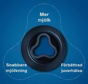 När kalven flyttar vidare till gemensambox så tar man ut ensamboxarna, tar isär byggdelarna och högtryckstvättar och desinficerar alla delar. Allt för att hålla smittrycket så lågt som möjligt.