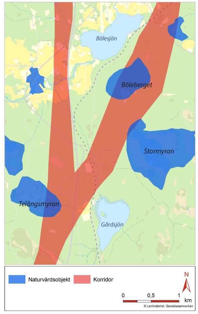 Riksintresseområdet Dyrån med myrrika tillrinningsområden är ca 600 ha stort varav ca 5 ha utgörs av vatten.