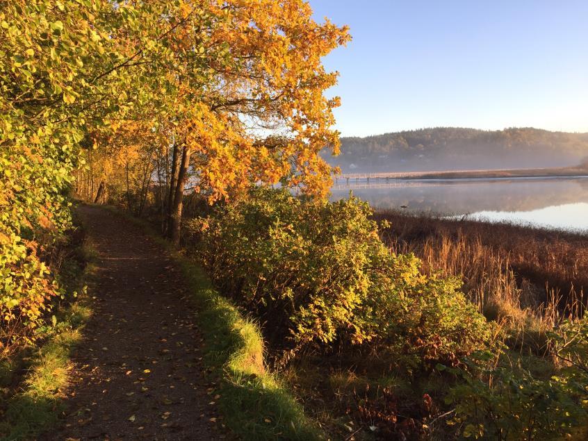 Allt hänger ihop Våra egna val spelar roll - Närmare hälften av alla yrkesverksamma svenskar har en hälsofarligt dålig kondition ( < 10 min rask promenad) Arbetsgivaren kan underlätta Ex.