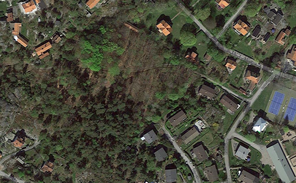 Bilder 2017 Google,Kartdata 2017 Google Figur 3. Satellitbild över Skogen hämtad från Google. Bilden är tagen 2013 och i början-mitten av maj när bok, björk och lönn har bladat.