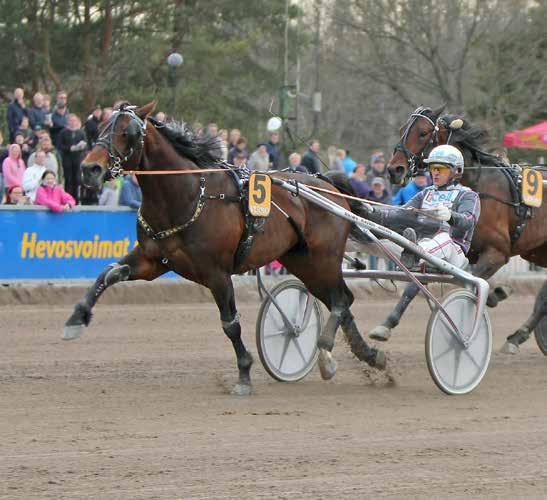 HalmstadTravet Måndag