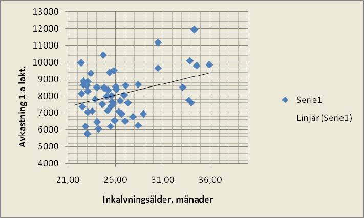 31 PÅVERKAN PÅ AVKASTNINGEN AV VIKT OCH ÅLDER VID INKALVNING. Inkalvningsåldern bland försöksdjuren varierar mellan 21,8 månader och 35,9 månader.