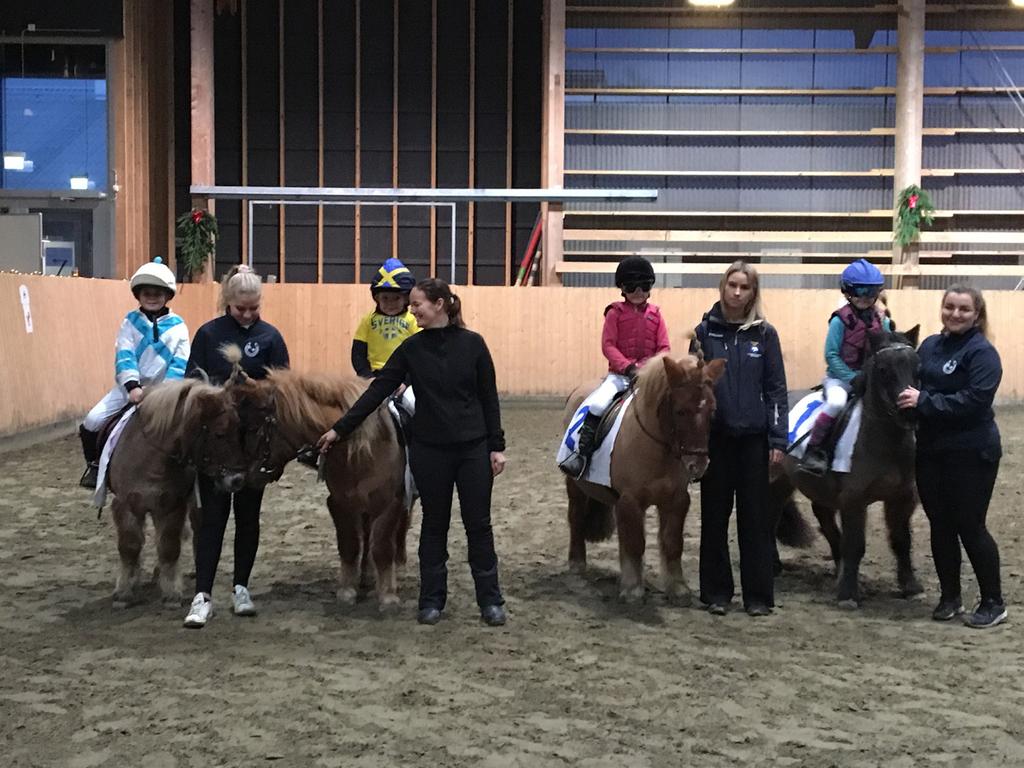 UNGDOMSSEKTIONEN Ordförande Johanna Liljeberg, Alicia Grentzmann, Sofia Färemo, Ebba Salomonsson, Ella Håkansson, Embla Jansson, Magda Larsson Riis, Madeleine Tran.