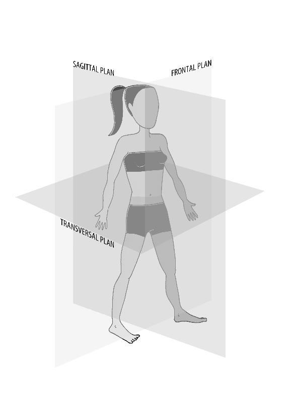 Akrobatik Med akrobatik menas när dansarens kropp roterar ett varv runt sitt sagittala eller frontala plan. Se nedan illustration.