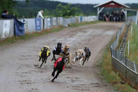 Äntligen - tävlingar i Alingsås Efter en prövningarnas vinter kunde Mariedal Park äntligen välkomna hundkappare och besökare till årets första tävling.
