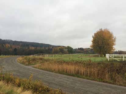 Kraftledningar går genom området. Väg 27/40 ligger cirka 800 meter från platsen.