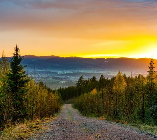 Evenemangskalendern Har du ett evenemang som du vill få in till evenemangskalendern? ragundadalen.com/evenemang Skicka ditt evenemang till kundcenter@ragunda.