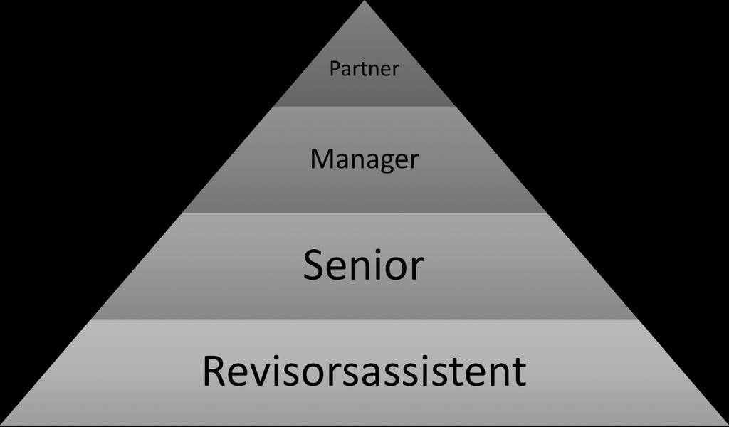 normalt sett bygger på att utföra grovjobbet. Assistentens erfarenhet växer med tiden och då tilldelas assistenten mer komplexa arbetsuppgifter.