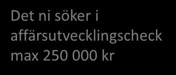 raden Det ni söker i