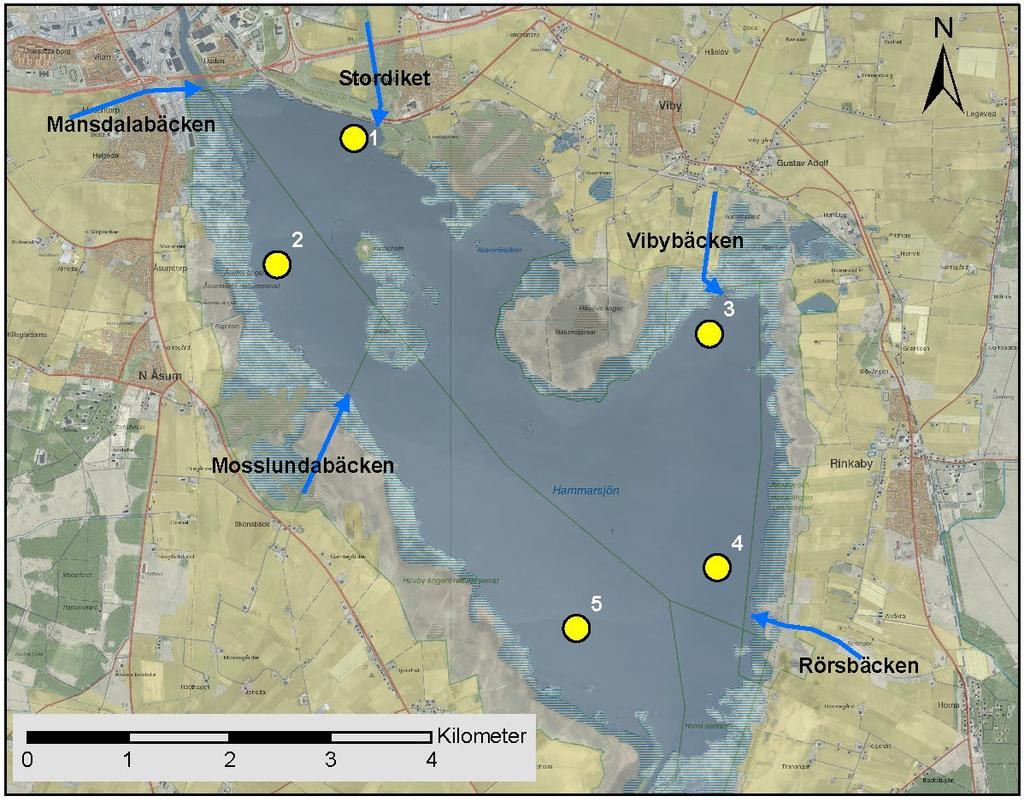 Material och metoder Provtagning av bottenfauna gjordes på fem lokaler i Hammarsjön den 26 september 2018 (figur 1).