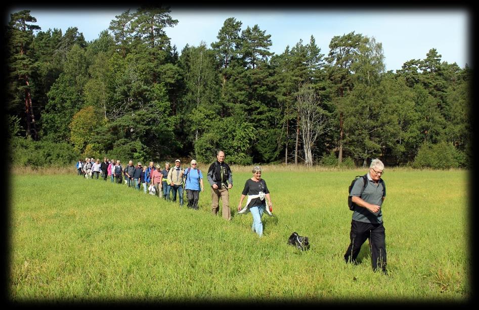 Vi anslöt till 1600 och 1800-talvägarna vid grindstugan nära nerfarten till Almare- Stäket. Vägen har det vackra namnet Ärkebiskopsvägen.