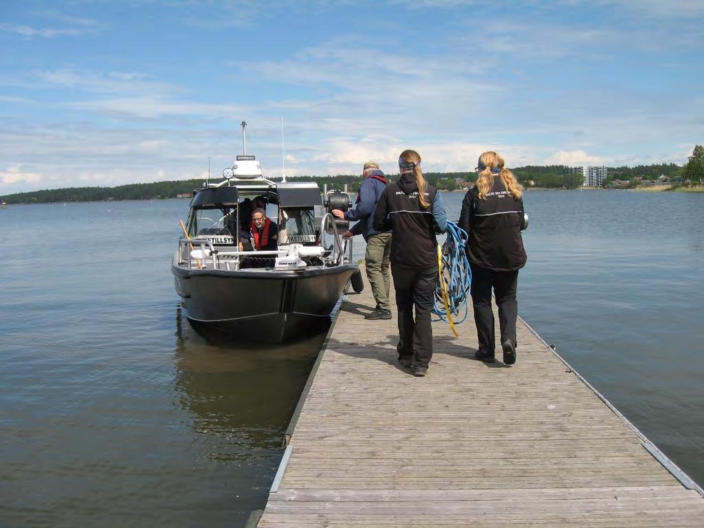 Metallisk partikel från Ulvsundasjön