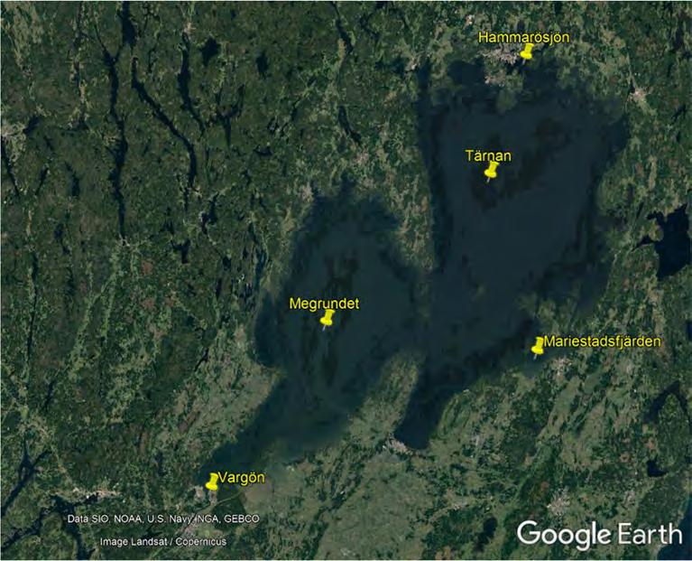 Vänern Prov Id GPS Beskrivning Klassificering Mariestadsfjärden Megrundet Tärnan Hammarösjön Vargön 58 42'40.00"N, 13 42'50.20"O 58 44'45.50"N, 12 48'22.80"O 59 5'43.40"N, 13 28'7.50"O 59 21'44.