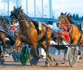 Harran Boko och onrad Lugar vann STL Klass I-försöket. Simon MItman är skötare. ushmore Face skrällde i STL Silverdivision tillsammans med Adrian Kolgjini. Lynn Johansson sköter om ushmore Face.