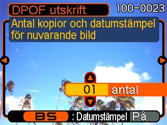 Det går att ange upp till 99 för antal kopior. Ange 00 om du ej önskar utskrift av bilden. 6. Tryck på [BS] så att På visas om du önskar en datumstämpel på utskriften.