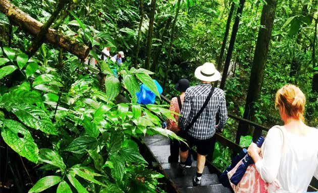 Dag 10 forts Puntarenas, Costa Rica Från Puntarenas kan man göra spännande turer till både regnskog, vulkaner och kaffeplantager.