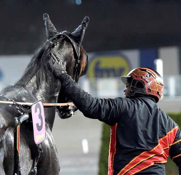 banprogram SOLVALLA