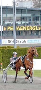 V intervjuer och tips 0.0 Start V- (Bergsåker).0 DD- lopp 9 (Bergsåker).