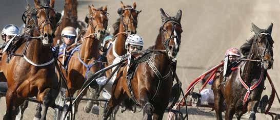 V- V- VINNARE PLATS SOLVALLA // 0 Stolopp 0 M VOLTSTART -åriga och äldre ston 0.00-900.000 kr. Körsvenskrav kat.. 0 m. Tillägg 0 m vid vunna 00.00 kr Pris: 0.000-0.000-.000-.00-.00-(.00)-(.00) kr.