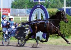 Melander HB, Enköping Freja Borg /- / d ag c c, ' Äg: Sydöstra Sveriges Travsällskap, Kalmar Kjell Gustafsson /- /, c c, ' Svart, gul/vit vinkel och ärmbindel; gul Benny L Nilsson /- /,a c c, '