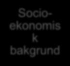 Socioekonomis k bakgrund Stöd Nyanländ Förmågor