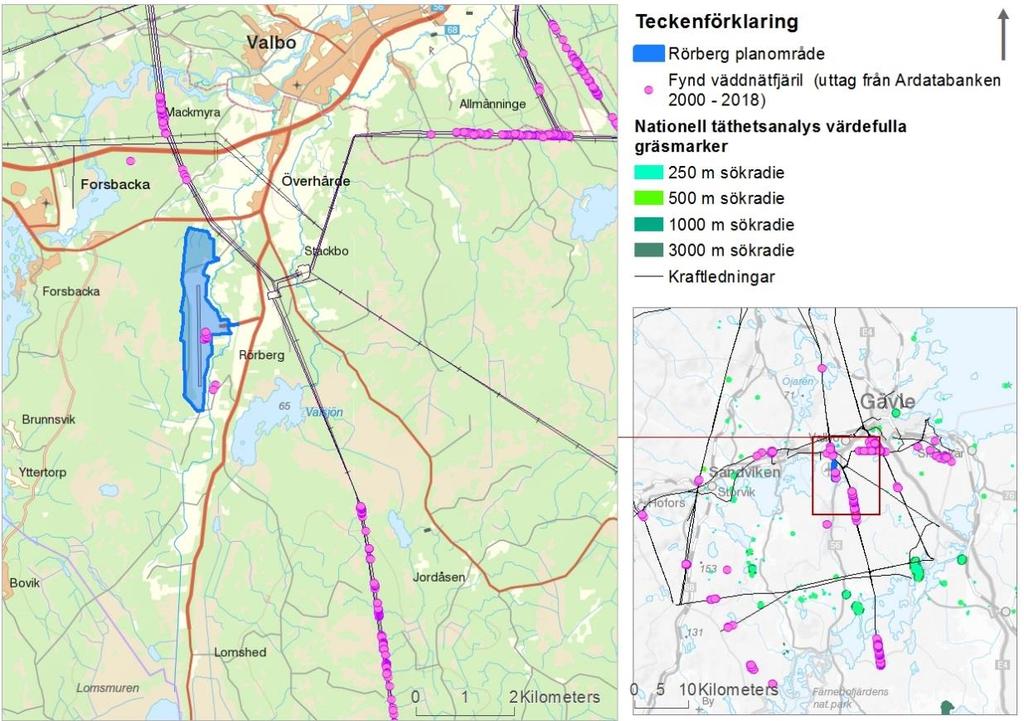 Ekologiska samband mellan dessa populationer av väddnätfjäril går ej att utesluta.